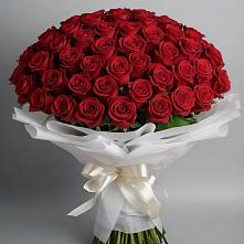 Букет 101 Красная роза Блэк Мэджик #REPLACE_PRED# Дальнегорске