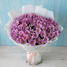 Букет цветов из:  Хризантемы #REPLACE_PRED# Дальнегорске