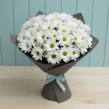 Букет цветов из:  Хризантемы #REPLACE_PRED# Дальнегорске