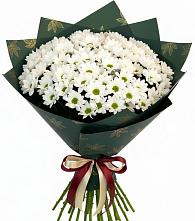 Букет цветов из:  Хризантемы в Дальнегорске