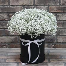 Цветочная композиция из Гипсофила в шляпной коробке в Дальнегорске